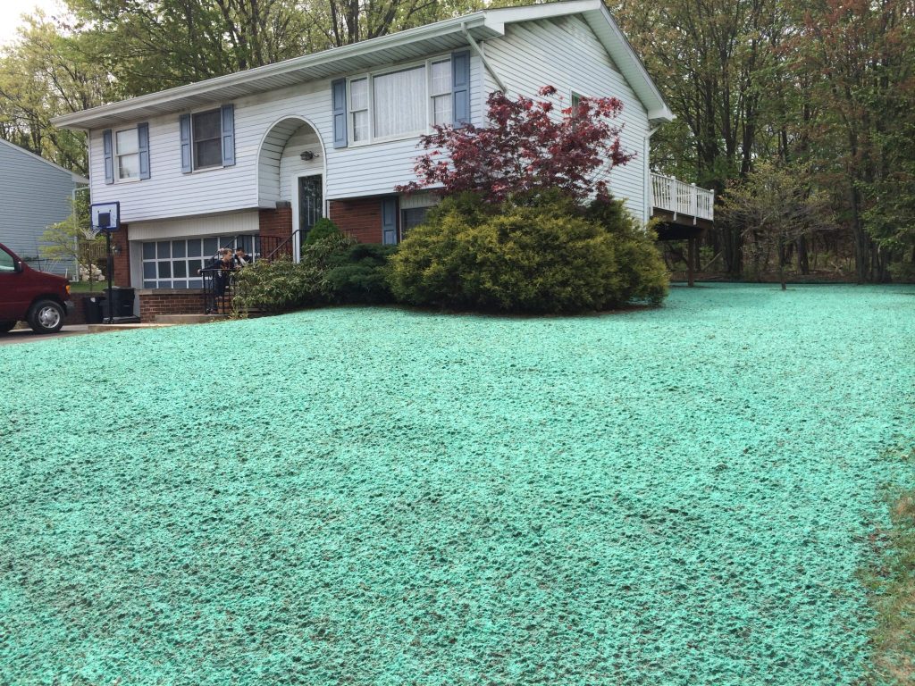 Lawn Installation & Care 1