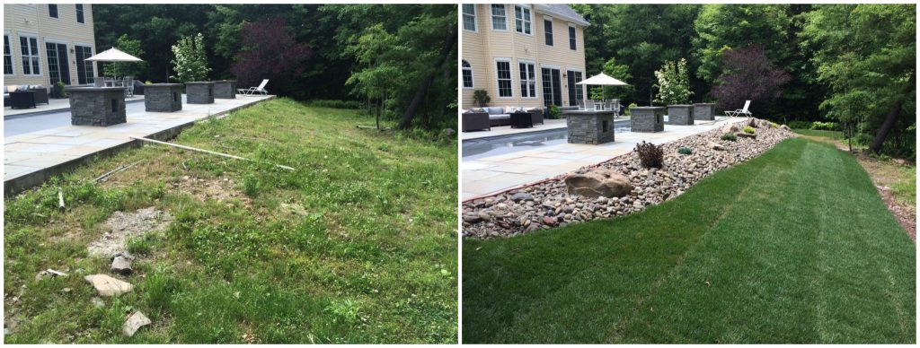 Landscape Renovation 1 Landscape Renovation 1