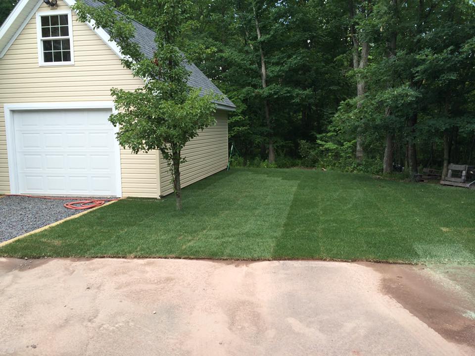 Lawn Installation & Care 2