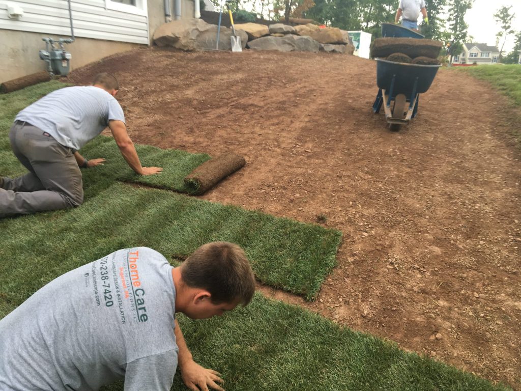 Sod Installation 1 Sod Installation 1