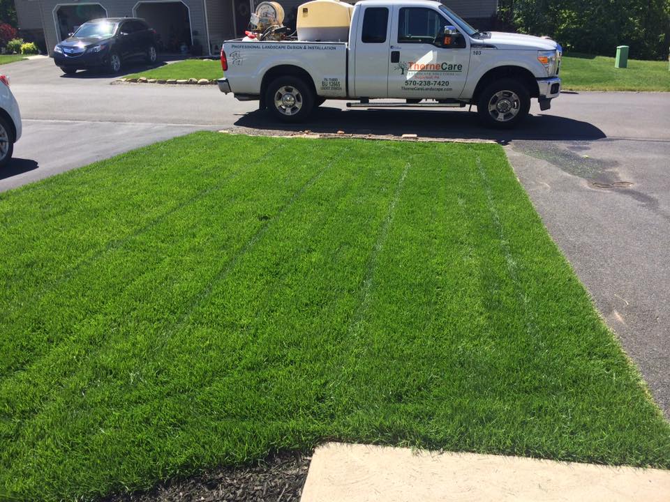 Sod Installation 2 Sod Installation 2